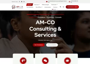 AMCO Consulting Services